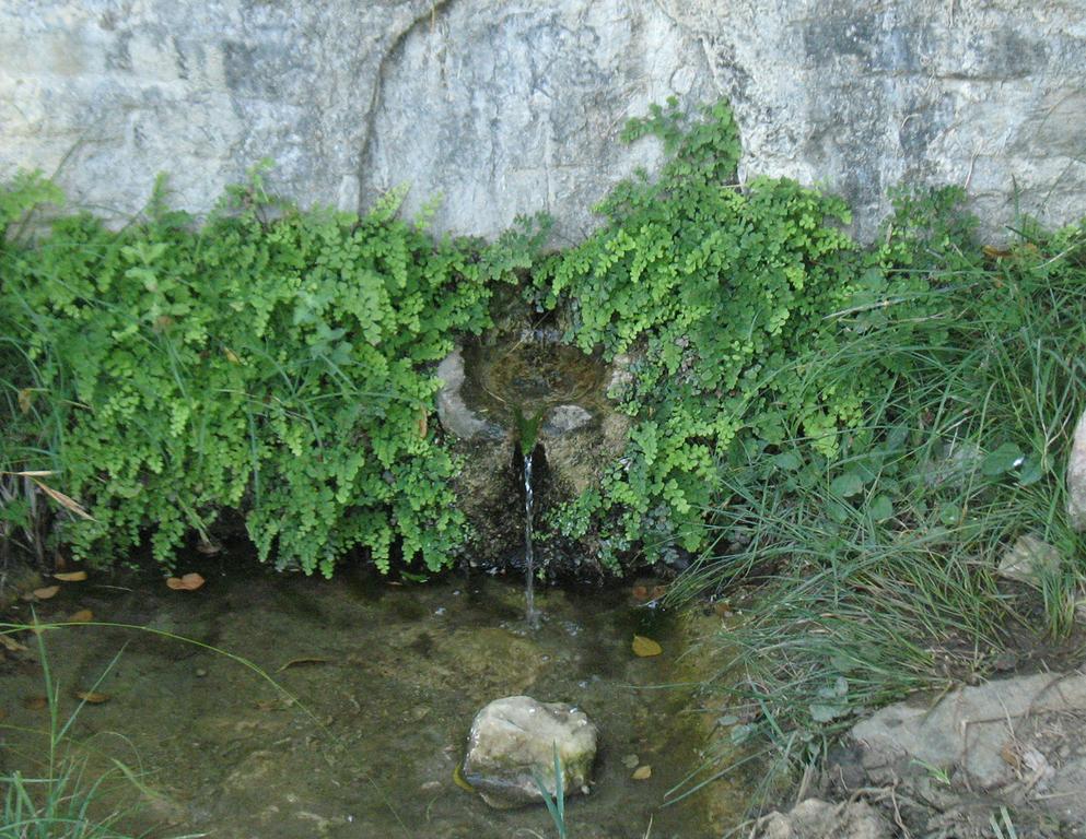 פוטיסטיקה Traditional Stonehouse מראה חיצוני תמונה