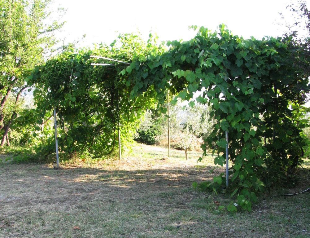 פוטיסטיקה Traditional Stonehouse מראה חיצוני תמונה