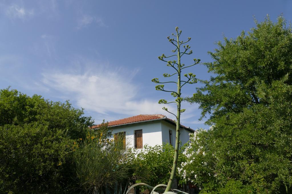 פוטיסטיקה Traditional Stonehouse מראה חיצוני תמונה